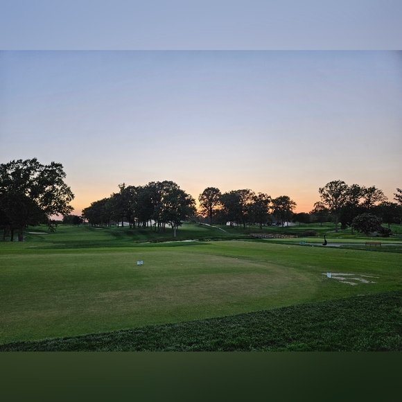 Meet your Posher, Tam - Picture 2 of 2